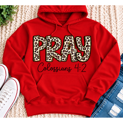 PRAY Colossians 4:2 leopard print Christian graphic shirt available in short sleeve crewneck, V-neck, long sleeve and hoodie styles.