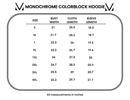 IN STOCK Monochrome Colorblock Hoodie FINAL SALE