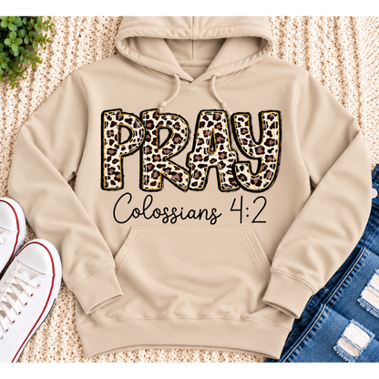 PRAY Colossians 4:2 leopard print Christian graphic shirt available in short sleeve crewneck, V-neck, long sleeve and hoodie styles.