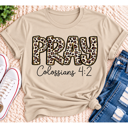 PRAY Colossians 4:2 leopard print Christian graphic shirt available in short sleeve crewneck, V-neck, long sleeve and hoodie styles.
