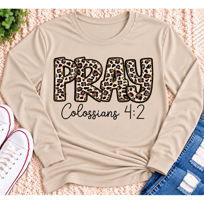 PRAY Colossians 4:2 leopard print Christian graphic shirt available in short sleeve crewneck, V-neck, long sleeve and hoodie styles.